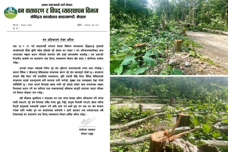 चुरे विनाश विरोधी कडा आवाजः रुख कटानप्रति कारबाहीको माग