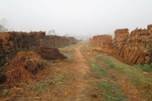 वैकल्पिक उपायतर्फ स्थानीयको जोडः “दाउरा र गोबरमै समाधान”
