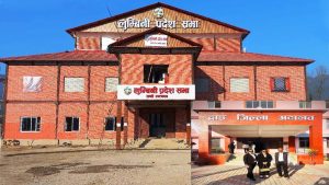 सांसद अम्बिका काफ्लेद्वारा सभामुखसहित पाँच जनाविरुद्ध जालसाजी मुद्दा